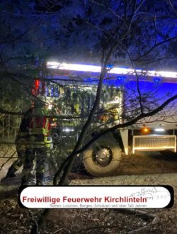 1125_Waldbrand Luttum (4)