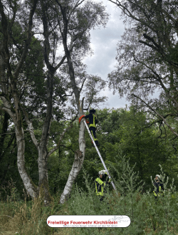 Kameraden der Feuerwehr befestigen eine Schlaufe an dem Baum