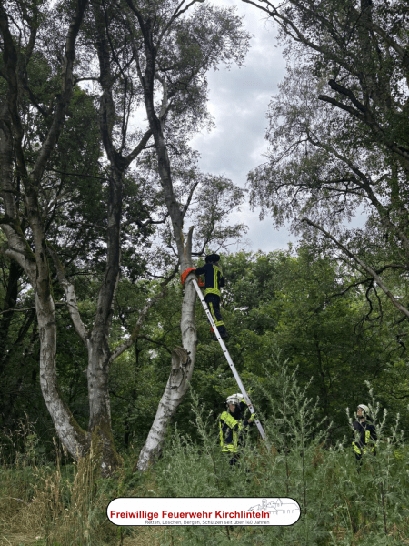 Kameraden der Feuerwehr befestigen eine Schlaufe an dem Baum