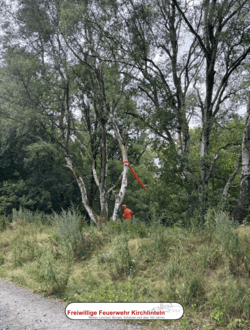 2125-Sturmschaden (3)