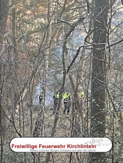 Brandfläche im Wald in Kirchlinteln