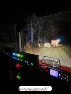 Einsatzanfahrt mit dem TLF
