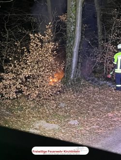 Feuerschein aus dem Unterholz am Waldrand