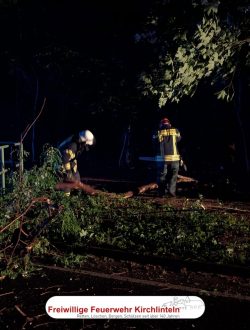 2 Feuerwehrkameraden zersägen einen Baum, der auf der Straße liegt
