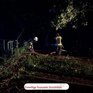 2 Feuerwehrkameraden zersägen einen Baum, der auf der Straße liegt