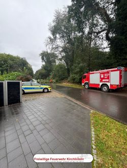 Einsatz_Nr20_Baum auf Straße_01
