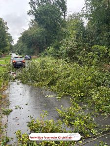 20/26 Baum auf Straße