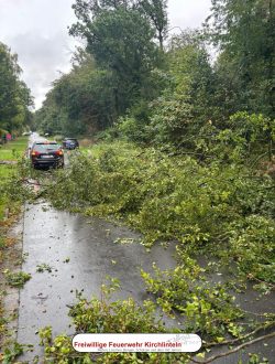 Einsatz_Nr20_Baum auf Straße_02