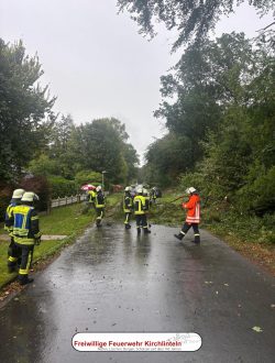 Einsatz_Nr20_Baum auf Straße_03
